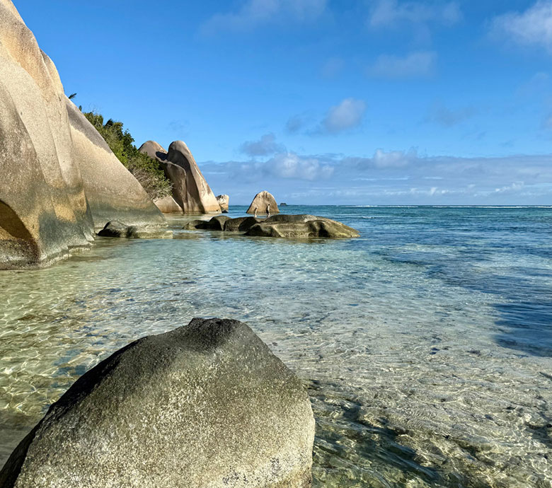 endless-summer-charter-seychelles-fauna-flora-beaches-of-rare-beauty.jpg